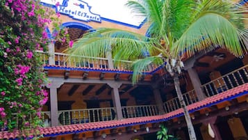 Un patio de hotel con una palmera, plantas en macetas y suelo de baldosas.