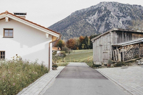 A rural road leading to a white building with a sloped roof, a wooden structure with a stack of logs, and a mountain in the background. - high-quality with sauna (Ruhpolding)
