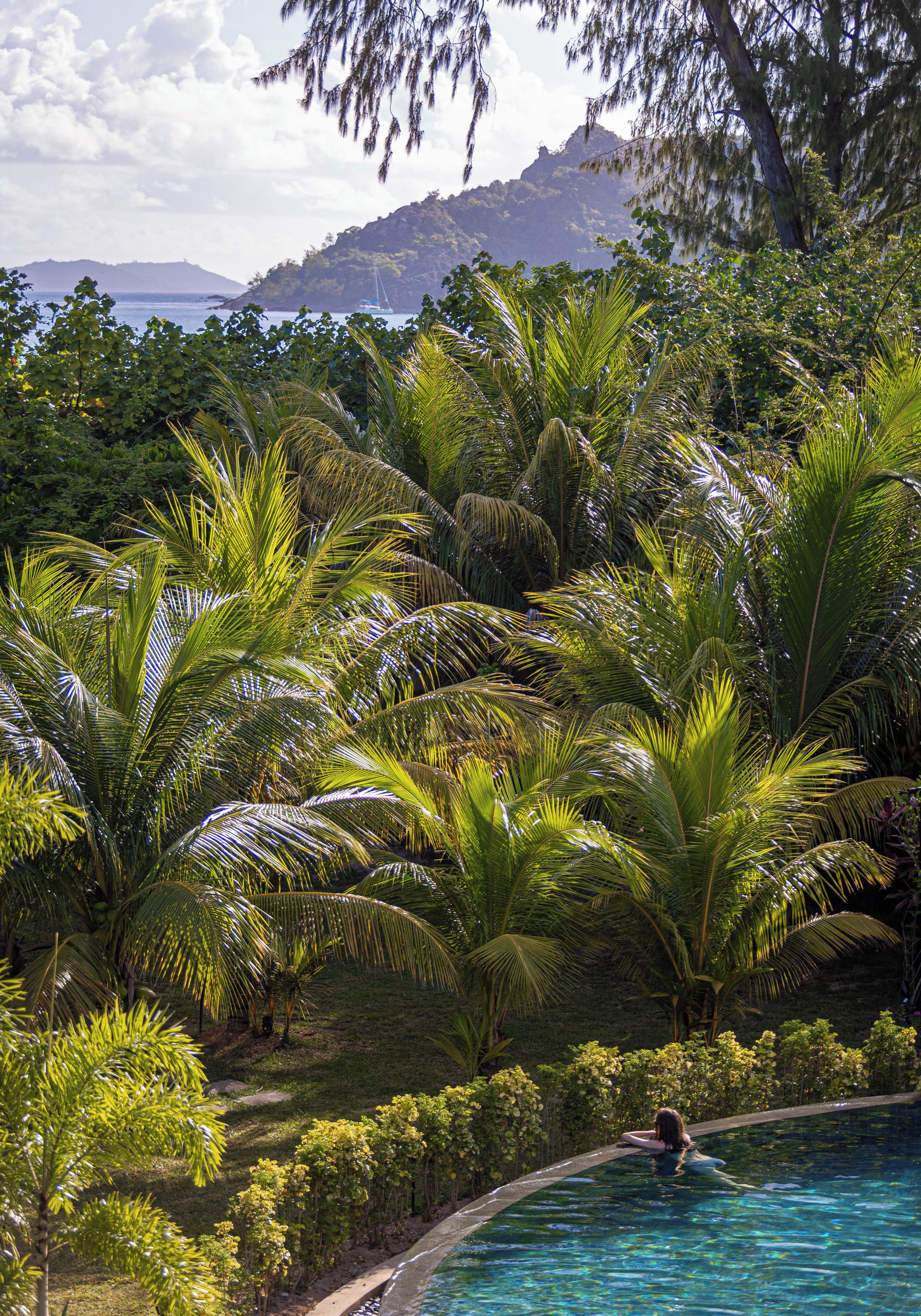 Una piscina rodeada de exuberante vegetación y una vista distante a la montaña.