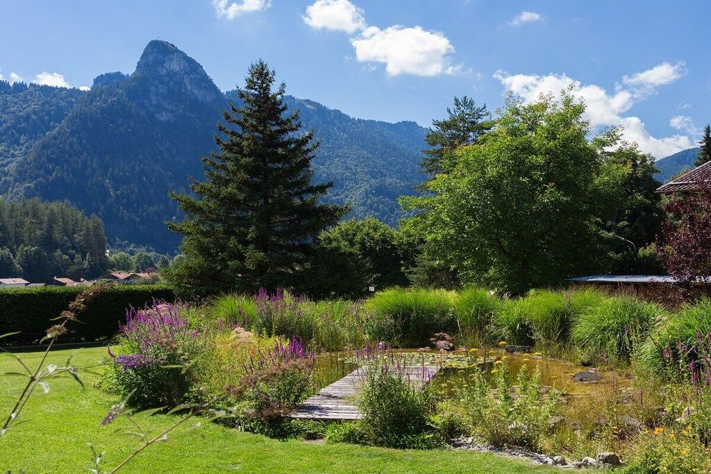 Um jardim com uma ponte de madeira, vegetação exuberante e uma montanha ao fundo.
