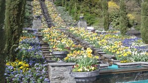 A garden with a stone staircase surrounded by a variety of flowers. - Rolf Bauer on the 1st floor (Konstanz)