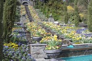 Um jardim com uma escadaria de pedra rodeado por diversas flores.