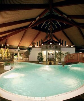 Pool - Swedish House Uplandalm (Willingen-Bömighausen)