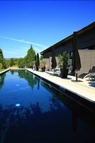 Una piscina con sillones de playa y sombrillas, rodeada de plantas en macetas y un edificio moderno.