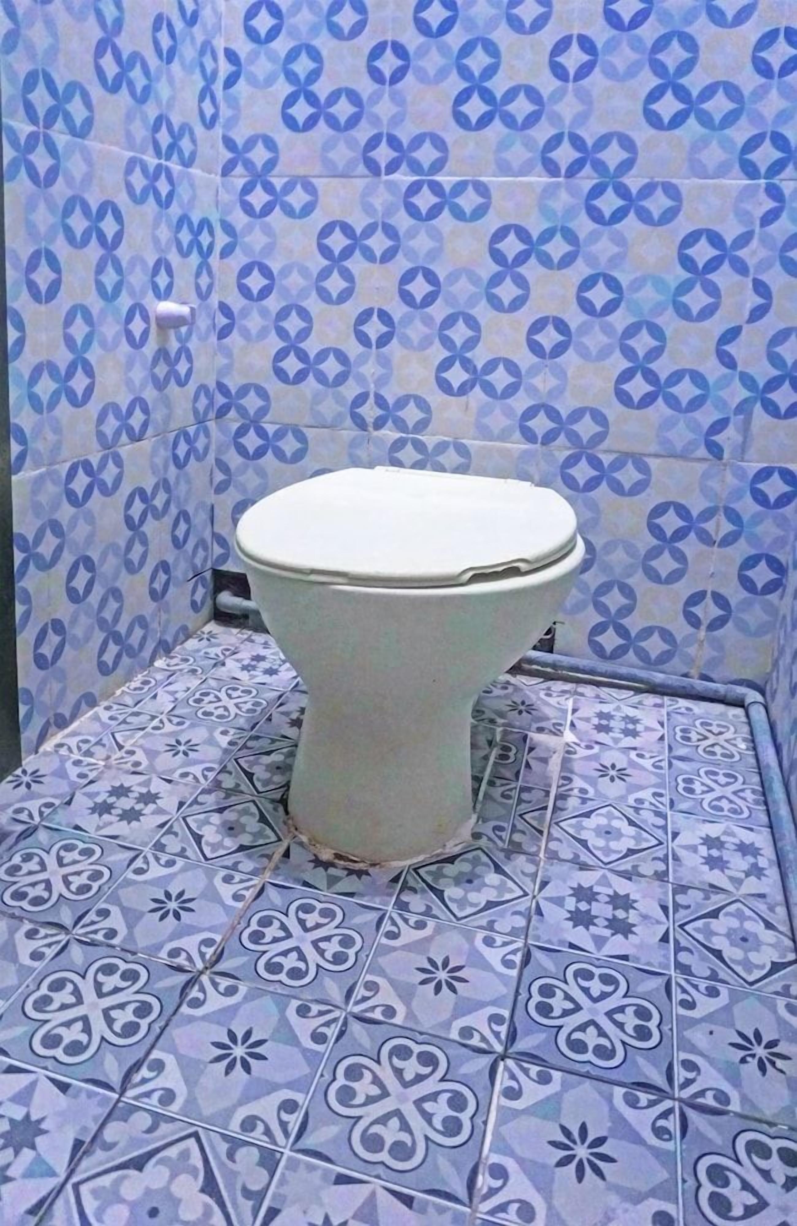 A bathroom with a toilet, patterned blue and white tiles on the walls and floor.