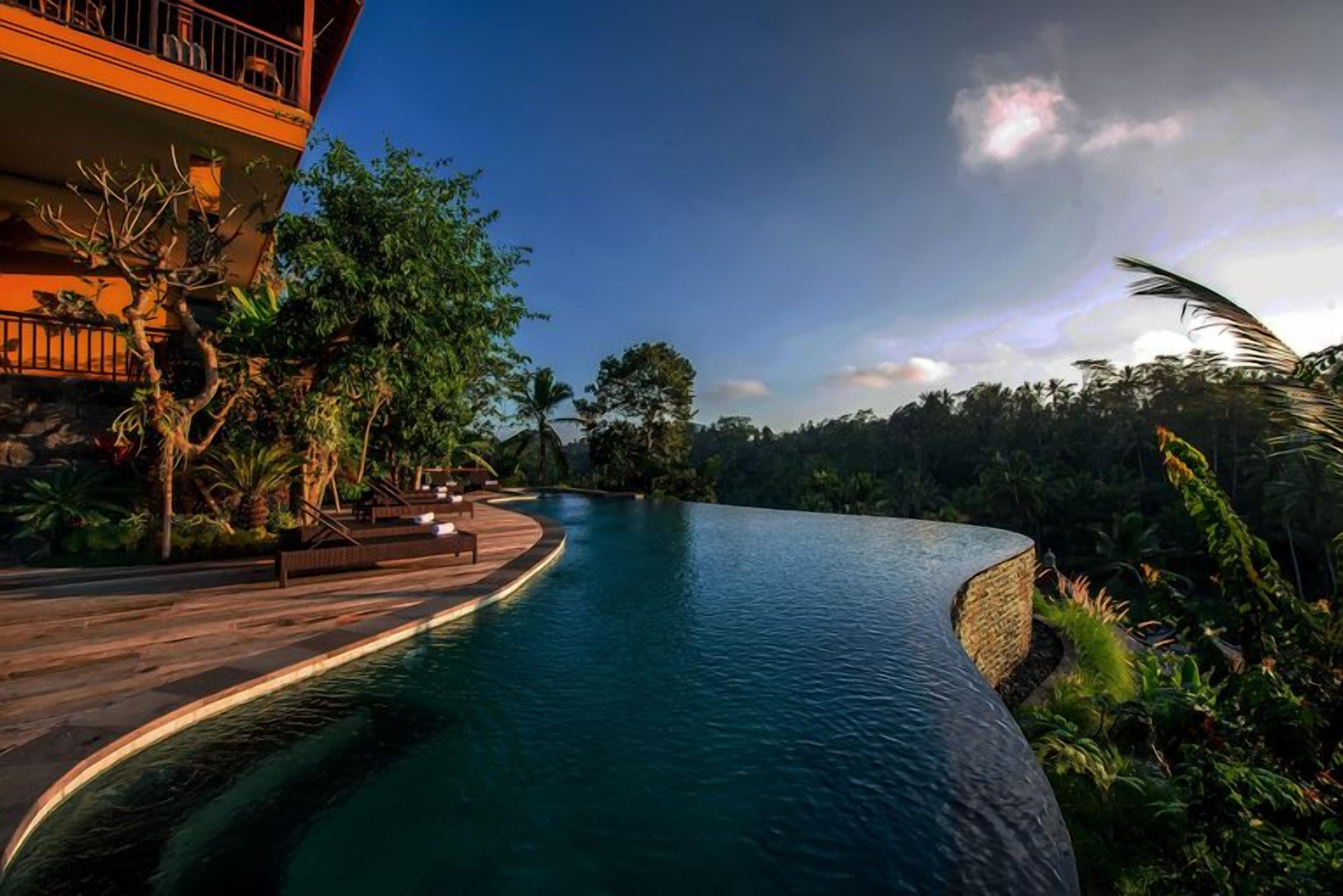 A pool with a curved edge, surrounded by lush greenery and a building with a balcony.