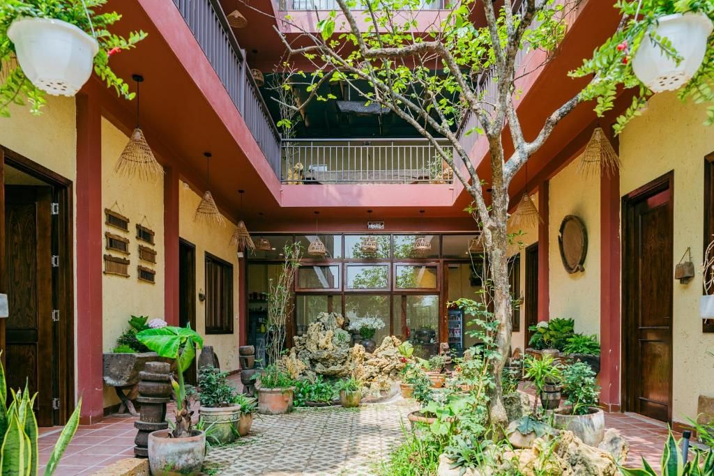A courtyard with a central tree, potted plants, and a tiled floor.
