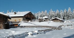 Exterior - Farmhouse 'Unterstrommerhof - Saltenblick' with Mountain View, Shared Garden and Wi-Fi (Meltina)