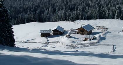 Farmhouse 'Unterstrommerhof - Saltenblick' with Mountain View, Shared Garden and Wi-Fi