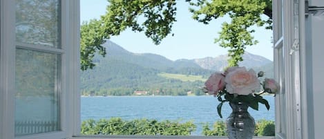 A window with a view of a lake and mountains, a vase with flowers on the windowsill.