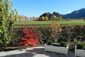 A landscaped garden with a hedge, a red maple tree, and a white building in the background. - Holiday apartment with 1 bedroom (Schwangau)
