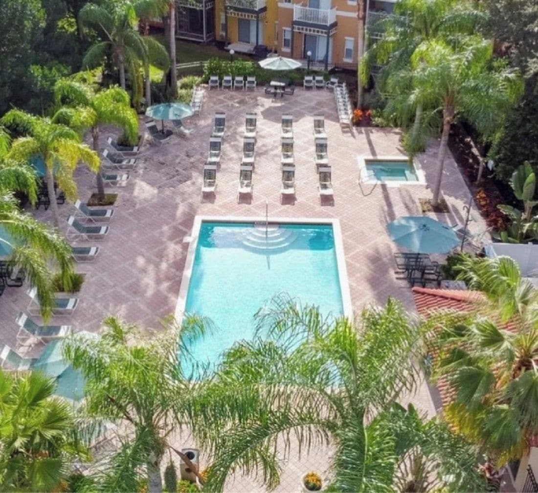 A pool area with lounge chairs and umbrellas, surrounded by palm trees.