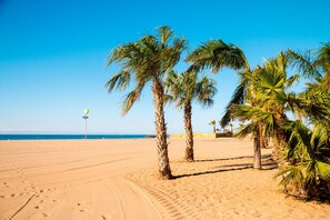 A beach with palm trees and a clear sky. - Mobile Home '6 Pers Domaine La Yole' with Shared Pool, Private Terrace and Air Conditioning (Vendres)