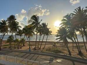A beach with palm trees and a clear sky. - Luxury beachfront apartment (Luquillo)
