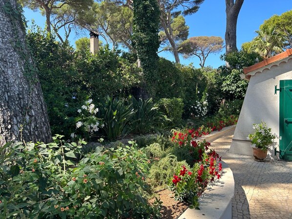 A garden pathway with a variety of plants and flowers, a tree, and a building with a green door.