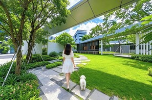 Ảnh chưa phân loại, 5 trong số 8 ảnh, nút