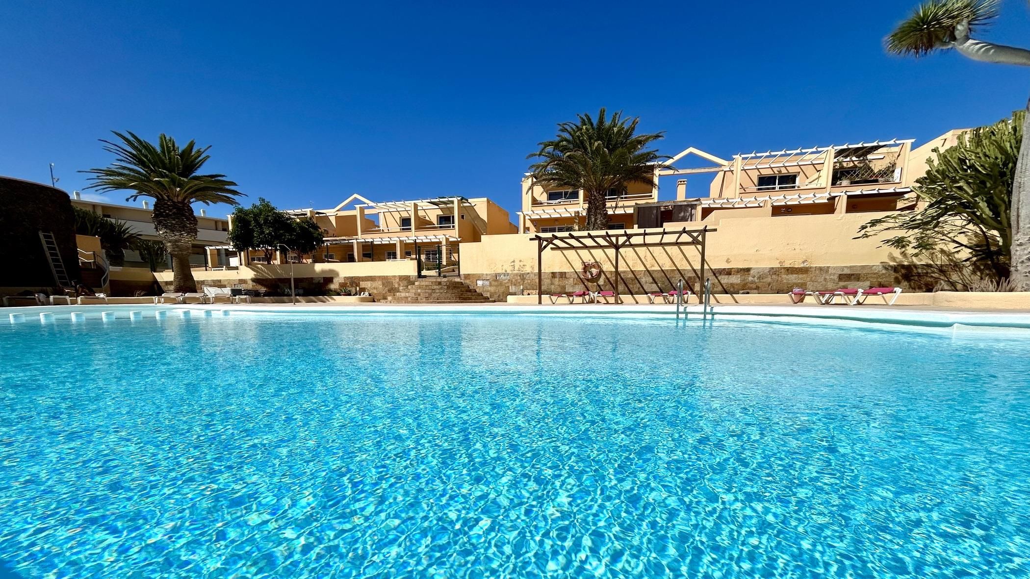 A clear blue pool with lounge chairs and palm trees, surrounded by buildings with balconies.