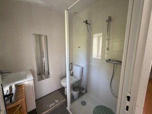A bathroom with a glass shower enclosure, a toilet, and a sink. - Bed and Breakfast 'Chambres Les Chats' with Mountain View, Shared Garden and Wi-Fi (Châteaudouble)