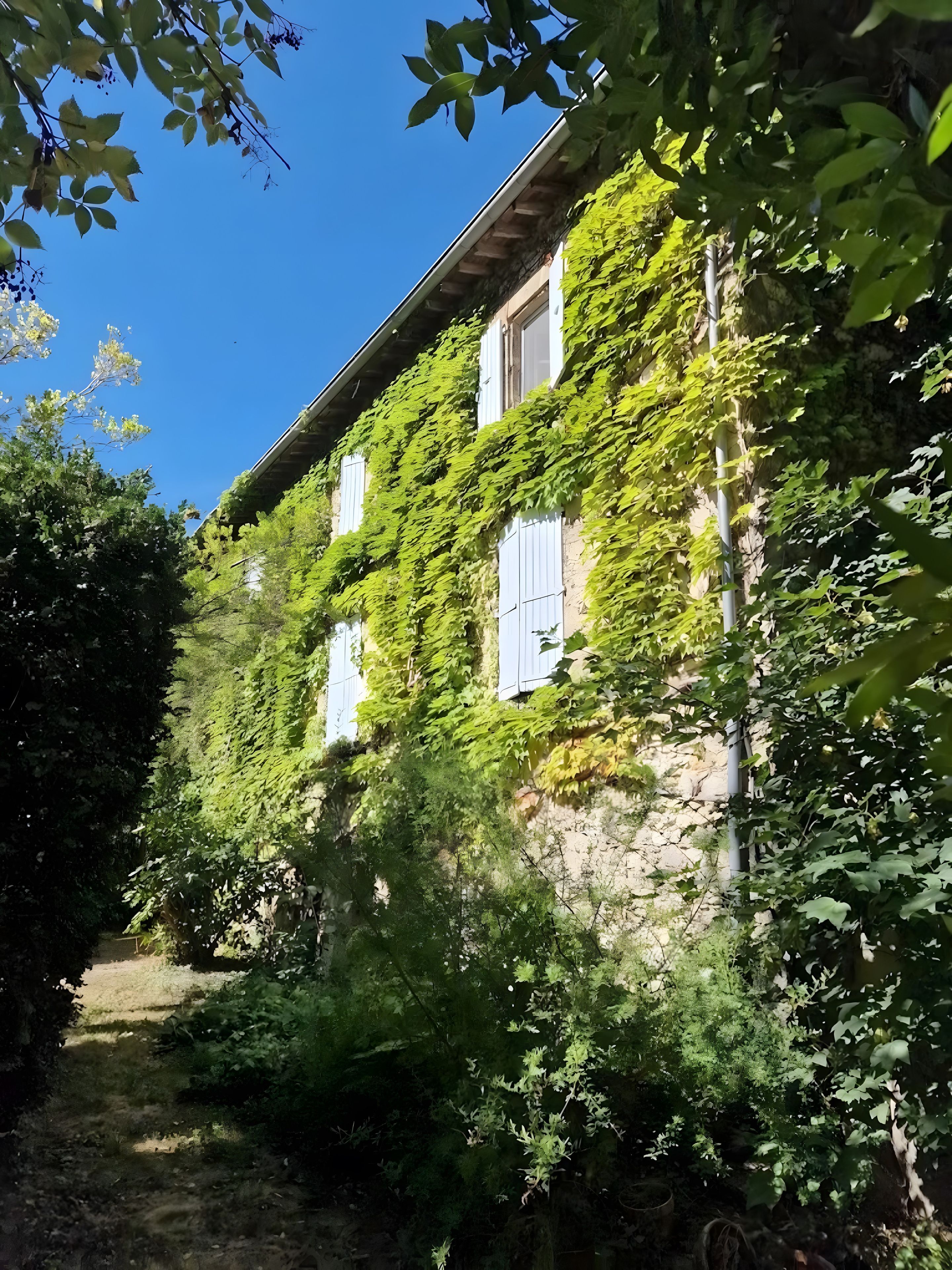 Un edificio in pietra con persiane bianche, parzialmente ricoperto d'edera, immerso nel verde.