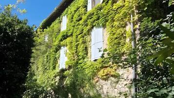 Un edificio in pietra con persiane bianche, parzialmente ricoperto d'edera, immerso nel verde.