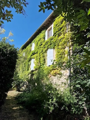 A stone building with white shutters, partially covered by green ivy, surrounded by dense foliage.