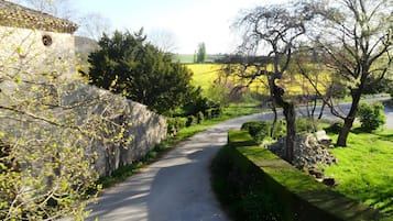 Un chemin de campagne étroit, bordé de murs de pierre et de verdure, qui mène à un champ jaune.
