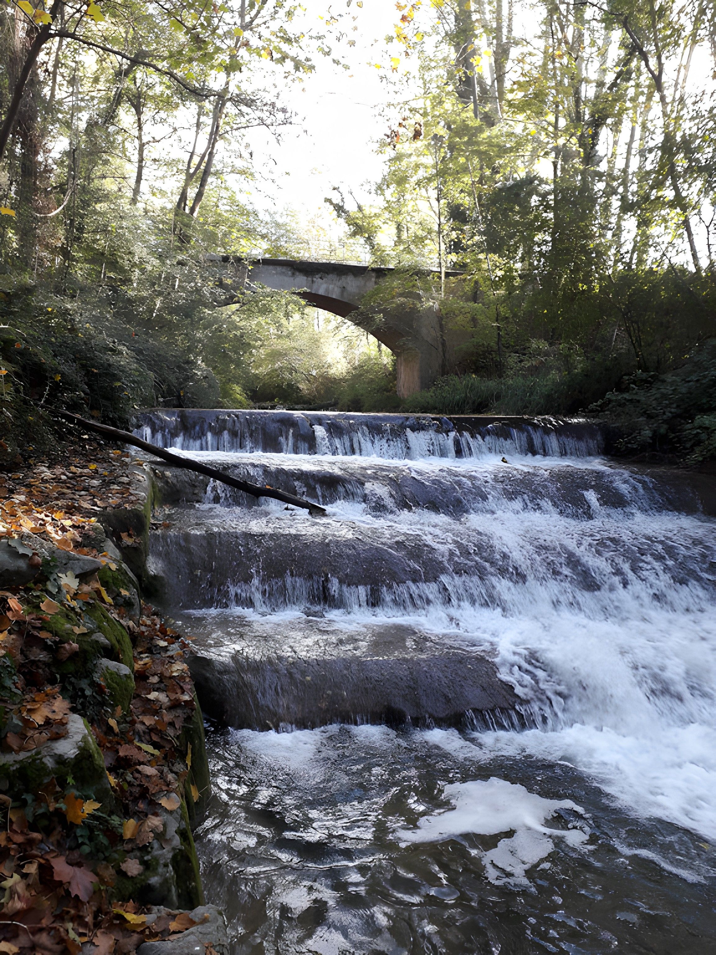 Une cascade d’eau se déversant sur une structure en pierre, avec un pont enjambant le cours d’eau, le tout entouré d’une végétation luxuriante.