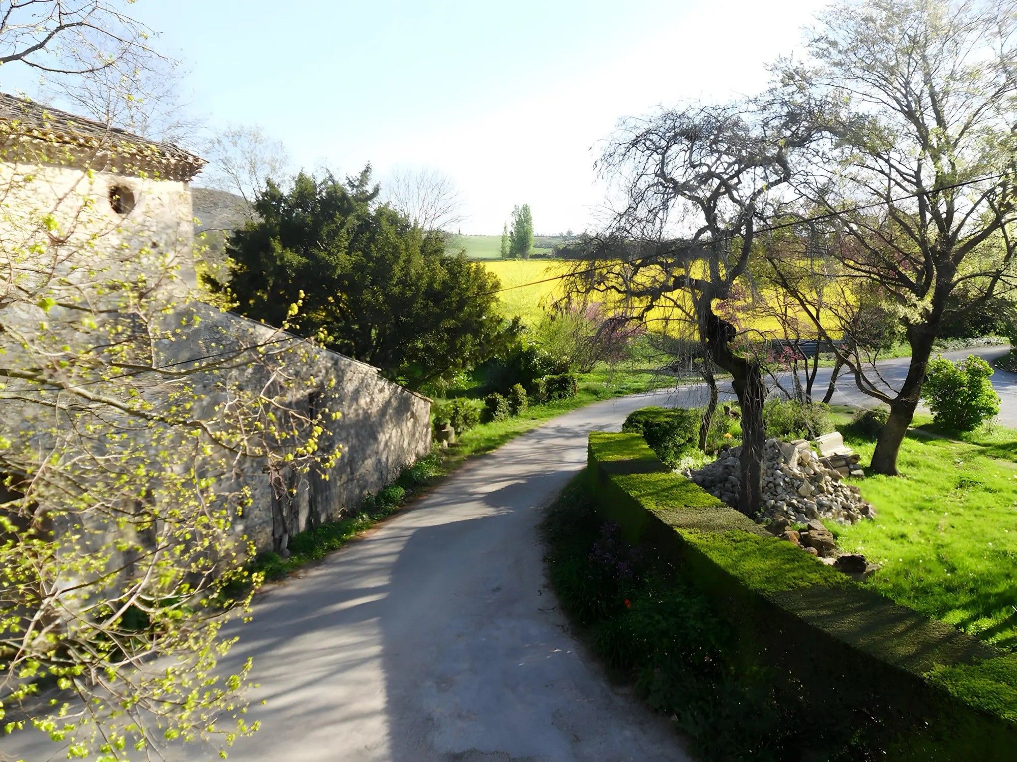 Una stretta strada di campagna circondata da muri in pietra e vegetazione, che conduce a un campo giallo.