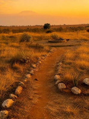 Un camí de terra que travessa un prat amb una construcció de pedra a la distància.