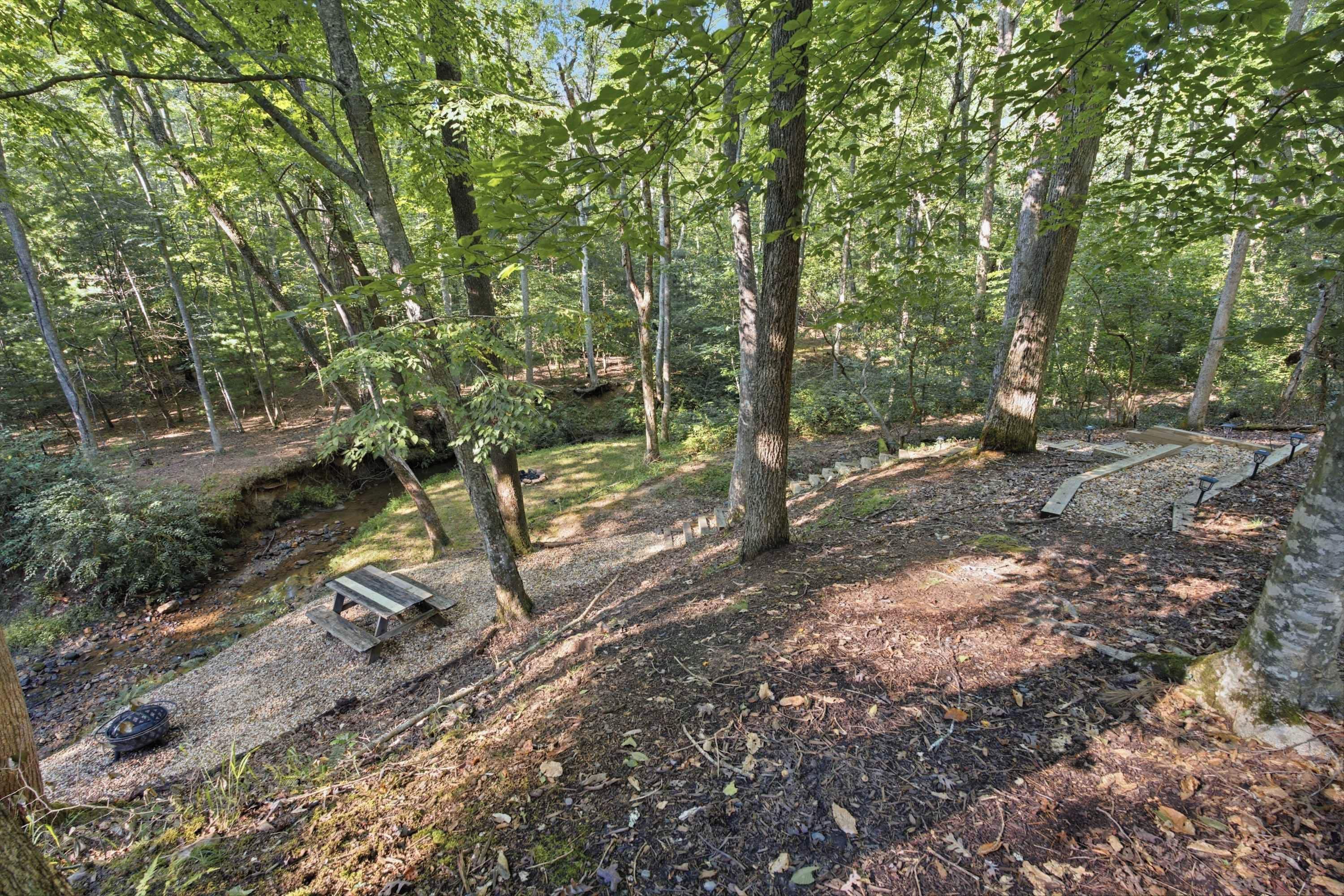 A forested area with a picnic table and a small stream.