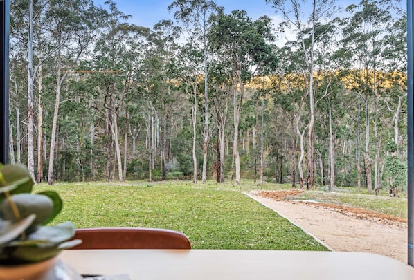 A view of a forested area with a dirt path leading through it.