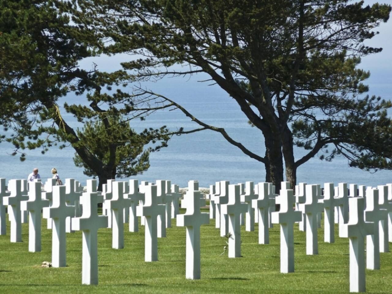 Un cimetière où de nombreuses croix blanches sont disposées en rangées, avec un grand arbre en arrière-plan et une étendue d'eau à l'horizon.
