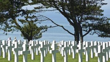 Un cimetière où de nombreuses croix blanches sont disposées en rangées, avec un grand arbre en arrière-plan et une étendue d'eau à l'horizon.