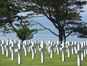 A cemetery with numerous white crosses arranged in rows, a large tree in the background, and a body of water in the distance.