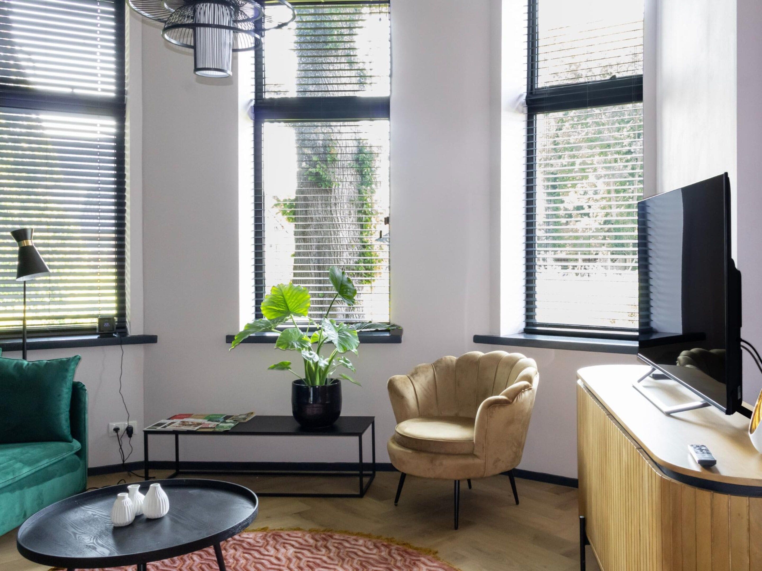 Un salon moderne comprenant un canapé, un fauteuil, une table basse, un téléviseur et une plante.