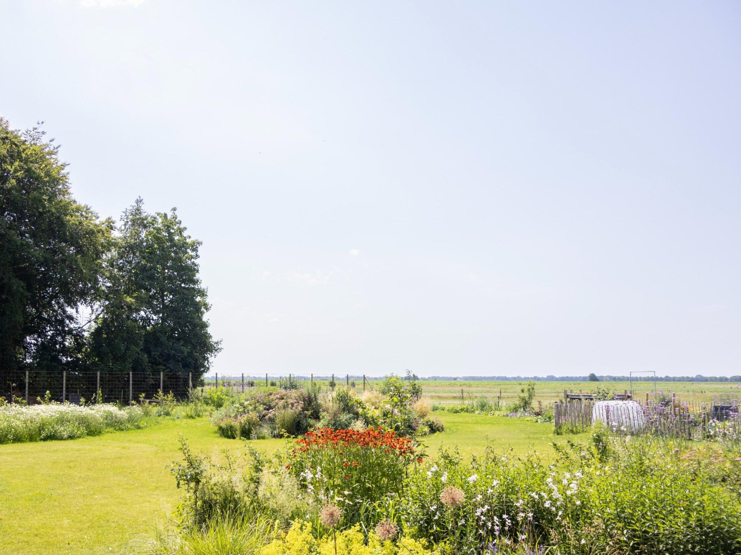 Un paysage rural avec un champ herbeux, une variété de fleurs sauvages et un arbre.