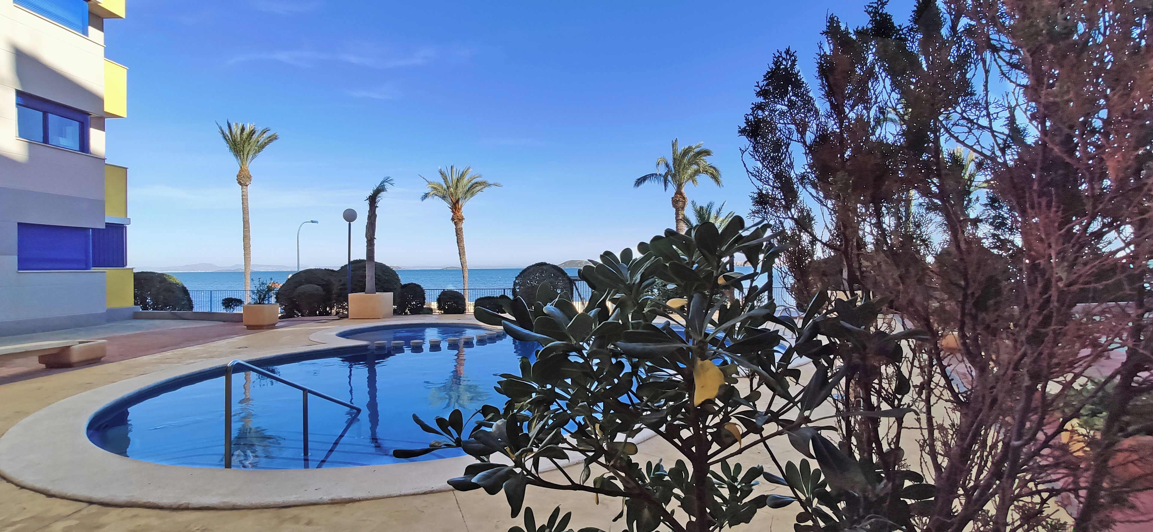 A swimming pool with a clear view of the sea, surrounded by palm trees and modern architecture.