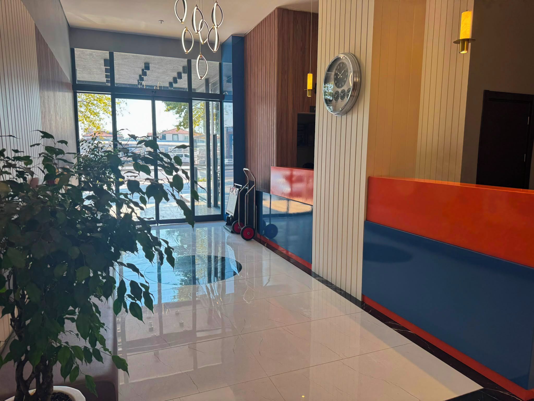 A modern lobby with a reception desk, a large window, and a potted plant.