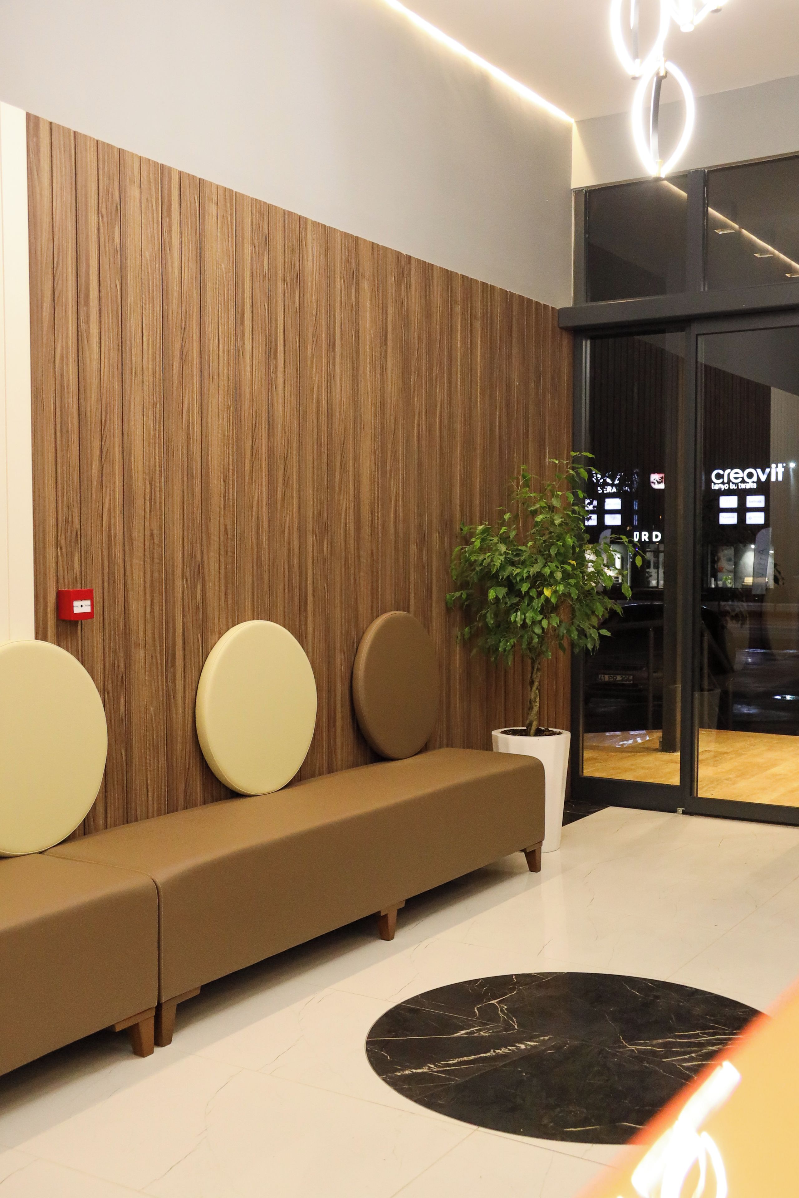 Zona de recepción con pared de paneles de madera, mostrador de recepción y planta en maceta.