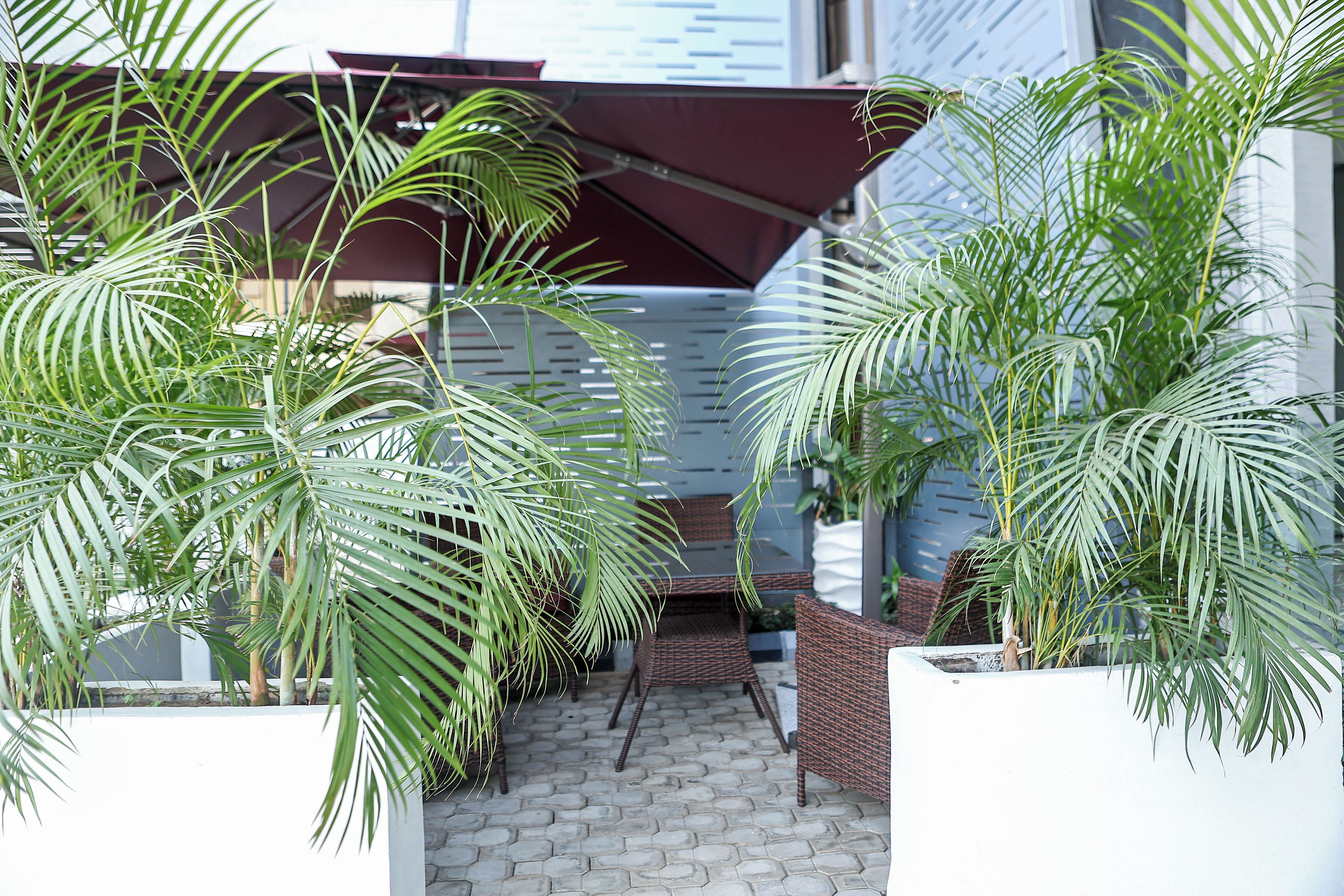 Khu ẩm thực ngoài trời