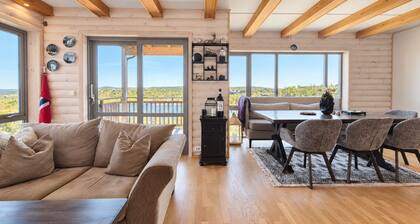 Geilo ski-in/ski-out, apartment with great views