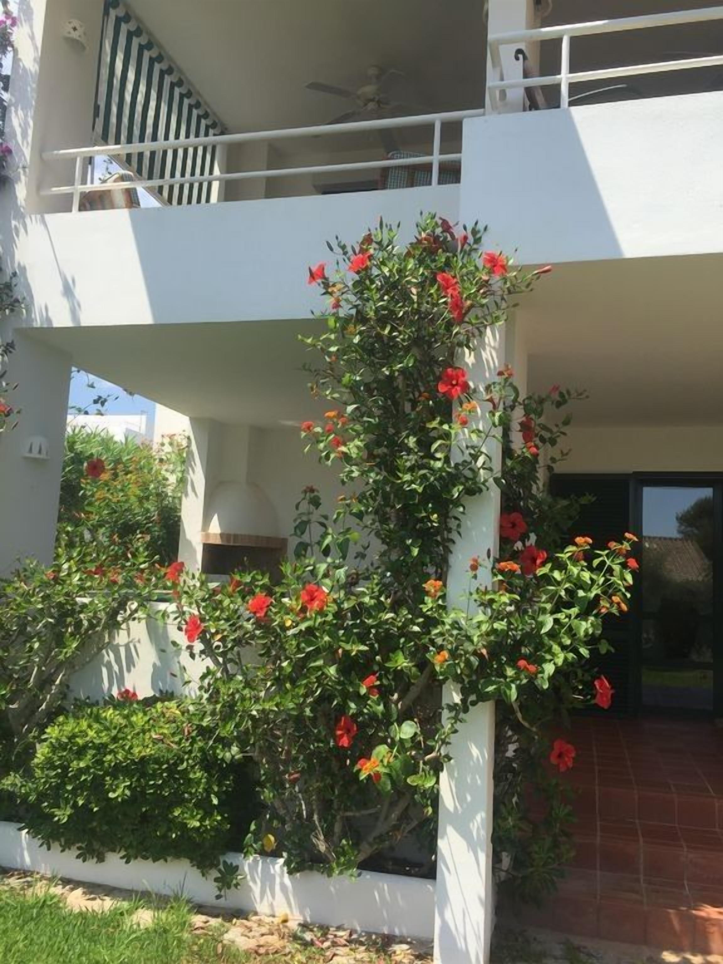 Un edificio con fachada blanca, un balcón y un jardín con flores rojas.