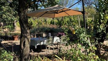 Un área de comedor al aire libre con mesa y sillas bajo un paraguas grande, rodeada de árboles y plantas.