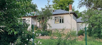 Cottage in the Vineyard an Hour from Bucharest