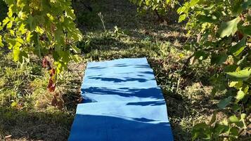 A blue mat laid out on a grassy path surrounded by foliage.