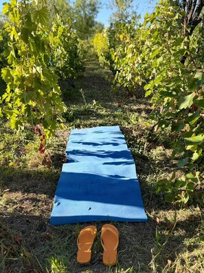 A blue mat laid out on a grassy path surrounded by foliage.