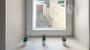 Een raam met uitzicht op een straat, een stenen muur en drie planten in potten op de vensterbank.