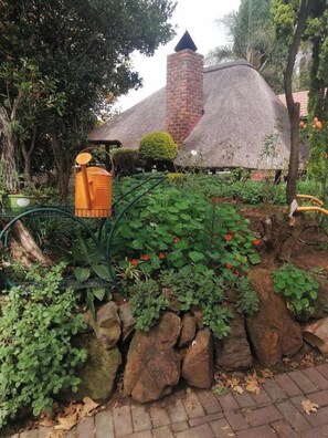 Taman