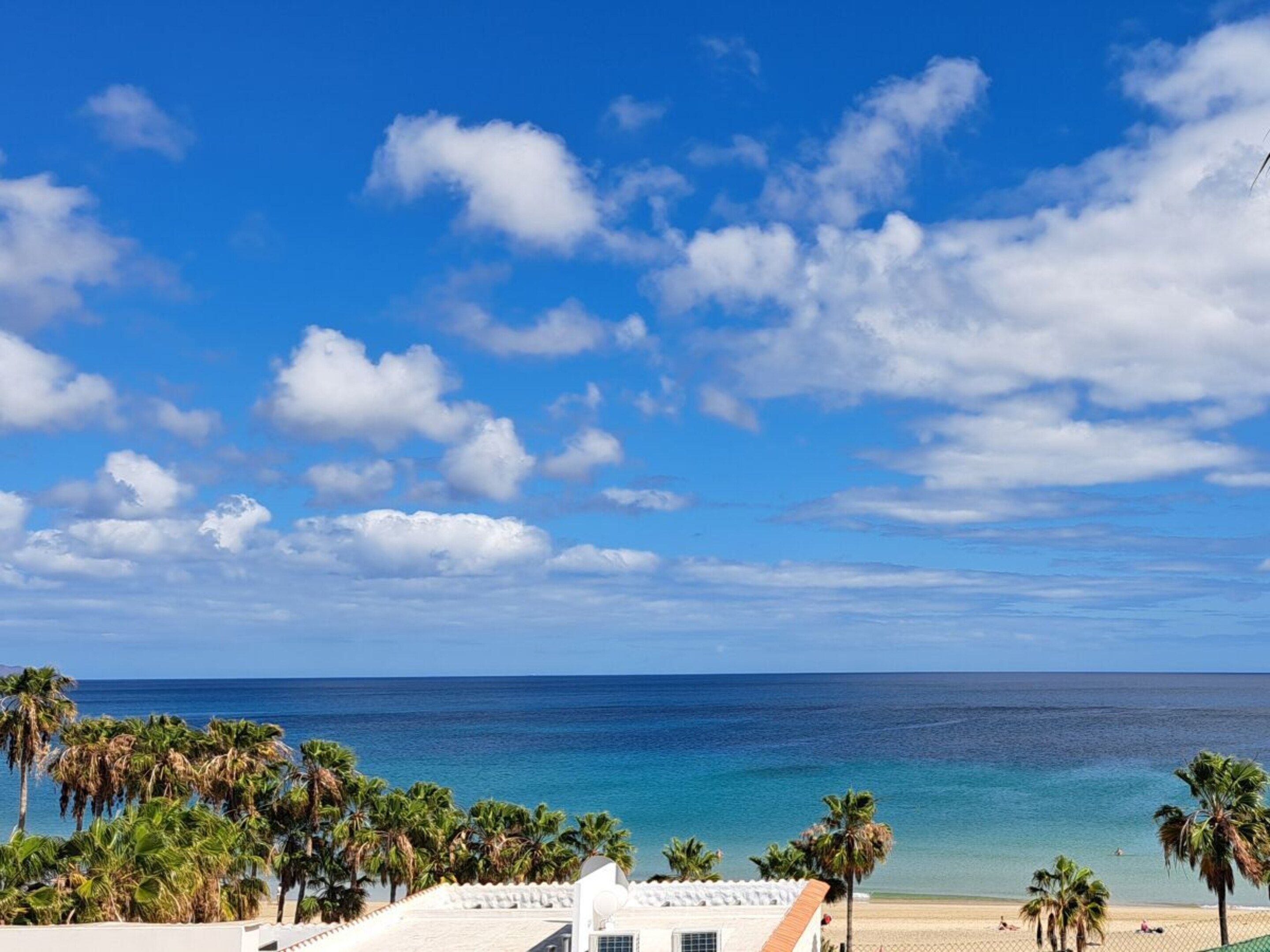 Vista de una playa con palmeras, cielo despejado y mar tranquilo.