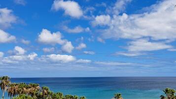Vista de una playa con palmeras, cielo despejado y mar tranquilo.